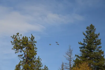 DSC_0282 (Large).JPG